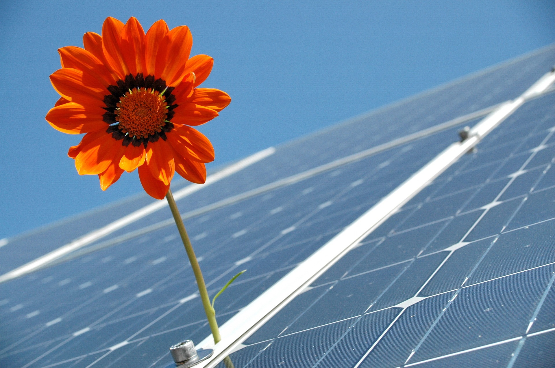 Solar Panels Malaga S.L.